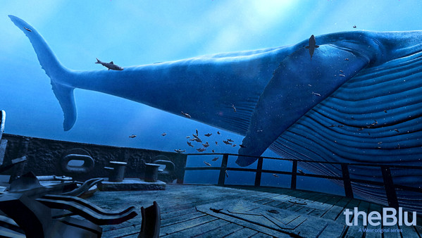 theBlue Whale encounter