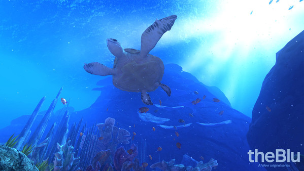 Image Source: http://store.steampowered.com/app/451520/ theBlue Turtles